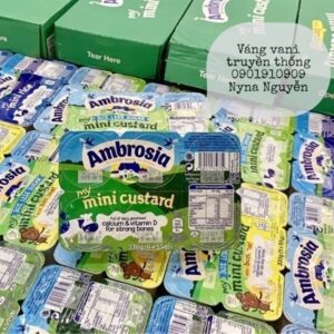 Váng sữa ambrosia vị truyền thống 6m+