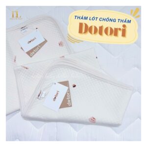 LÓT CHỐNG THẤM DOTORI 65X100cm