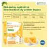 Sữa chua tươi sấy vị phô mai Anpaso 8m+ (Hộp)